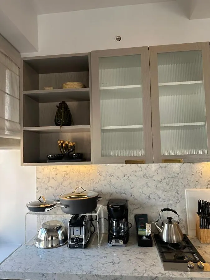 Soho Manhattan Luxury Penthouse ニューヨーク アパート